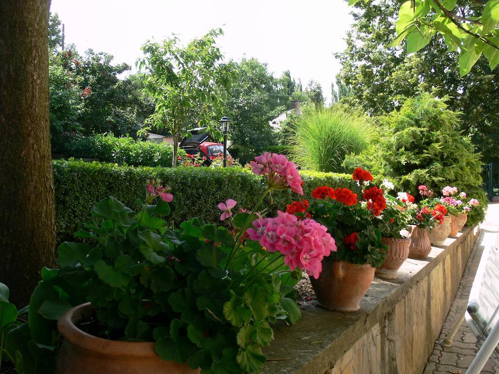 Harsfa Szallo Tamási Extérieur photo